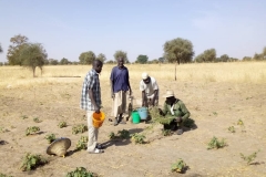 Ungenutzte Fläche die nun wieder Nutzbar gemacht wird.