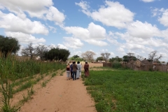 Nach der Feldbesichtigung, kehren wir zurück zum Lager.