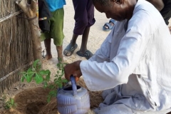 Es ist soweit! Banique pflanzt die erste Pflanze ein.