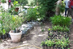 Hier in der Baumschule des Nationalparks in Dakar schaut das Team, was wir den Kommunen in Diourbel mitbringen wollen.