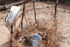 Der selbstgebaute Zaun soll die Ziegen davon abhalten an die Pflanze zu gehen. Diese wurde mit Hilfe der Plastikflaschen- Methode angepflanzt.