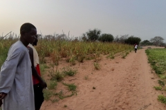 Ein Blick über die Umgebung, soweit das Auge reicht.