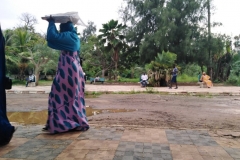 Die heiße, feuchte Luft in dem Parc Nationale, sorgt mit den vielen grünen Pflanzen  für ein Naturerlebnis.