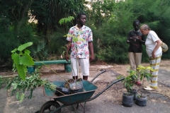 Wir sind uns nun einig, welche Pflanzen wir kaufen und mit in die Dörfer nehmen. Darunter befindet sich Papaya, Mango und Zitronengras.