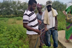 Kabel Prüfen für eine Solar Pumpe