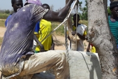 Eigenhändig  mit minimalem und abgenutztem Baumaterial  wird die Sache angegangen. Ihnen bleibt auch nichts anderes übrig. Sie brauchen das Wasser! Hierfür riskieren sie ihr Leben  am dünnen Seil.