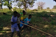 Auch die Kinder müssen zur Erntezeit mitarbeiten. Sie nehmen die Erdnüsse aus de Erde.