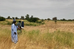 Zu sehen ist hier der Ort Tocassone.