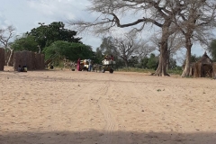 Nach ein paar Stunden ist der Einkauf da. Mit einer Eselkutsche fuhren sie auf den nächst gelegenen Markt, um für die nächsten Tage Essen für alle zu besorgen.
