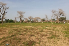 Die Ziegen, Esel und Pferde haben ihren Ausgang auf den freien Feldern rund um das Dorf.