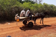 Nachdem der Schneider Oumar uns seine Kleider nach Gapo gebracht hat, verabschiedete er sich und fuhr mit der Kutsche zurück nach Hause.