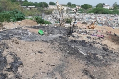 Plastik lässt die lebensbedürftige Natur ersticken und wir Menschen sind schuld. Erschreckt hat uns besonders der Blick auf eine Suppendose von einer deutschen Firma.