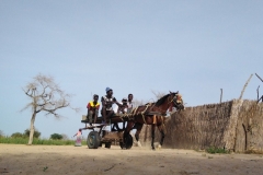 Die jungen Männer machen sich mit ihrer Kutsche auf dem Weg in die Stadt, um Lebensmittel zu besorgen.