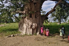 Die Kinder führen uns rum und zeigen uns stolz diesen prächtigen Baum!