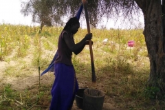 Um die Hirse kochen zu können, muss sie erstmal gestampft werden. Und das braucht Muskeln und Ausdauer.