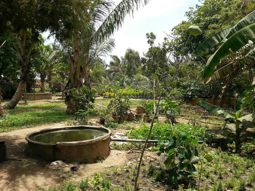 Kulturzentrum / Brunnenbau