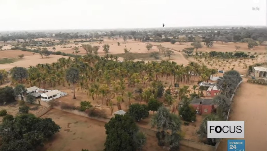 a master of permaculture grows a lush oasis in the desert