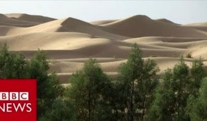 The Great Green wall