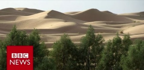 The Great Green wall